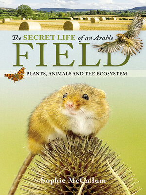 cover image of The Secret Life of an Arable Field